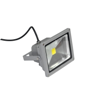 LED Flood Light CL1 30W